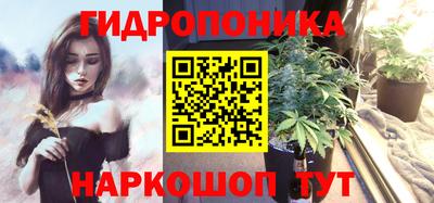 шишки Малоярославец