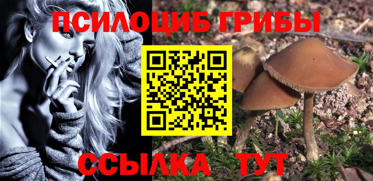 Галлюциногенные грибы прущие грибы Зеленокумск