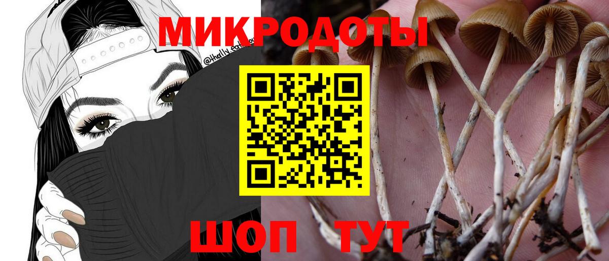 Псилоцибиновые грибы Psilocybine cubensis  Вход с VPN  Зеленокумск 